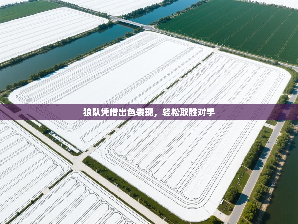 狼队凭借出色表现，轻松取胜对手  第2张